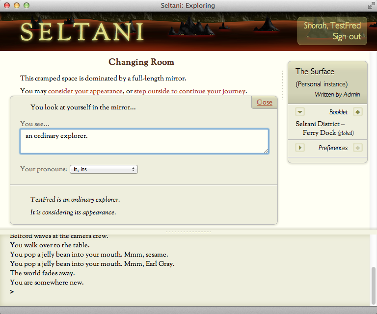Customizing self description