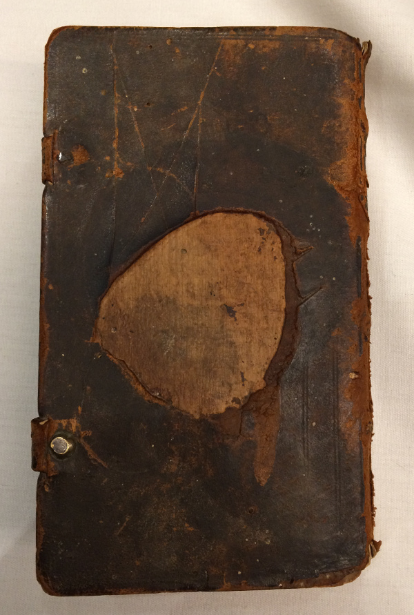Old book: back